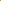 Conjunto short golden morning